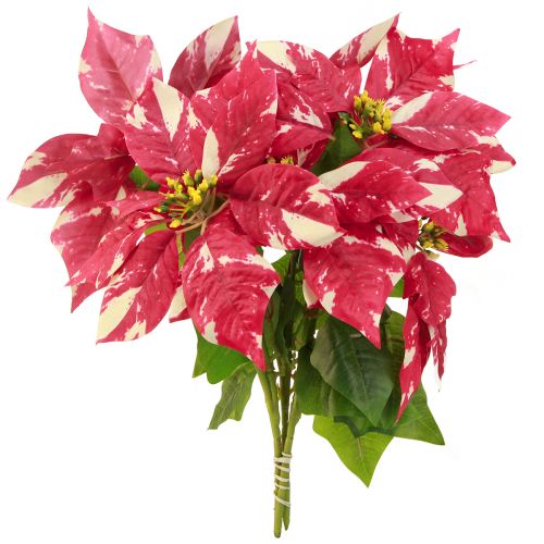 Itens Estrela de Natal artificial em creme vermelho C35cm 6 unidades 2 maços
