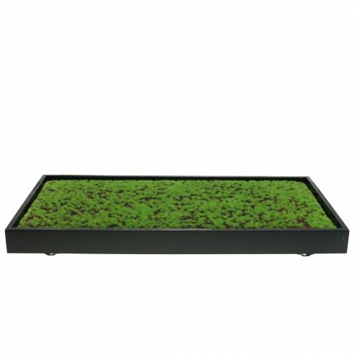 Itens Mural musgo em moldura verde 60x30cm Decoração de parede feita de musgo