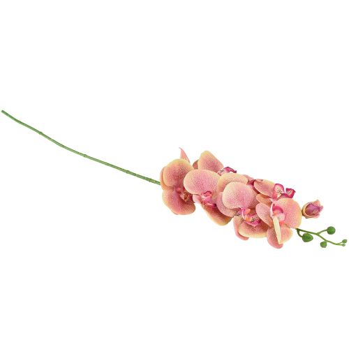Itens Orquídea Phalaenopsis artificial 9 flores rosa baunilha 96cm