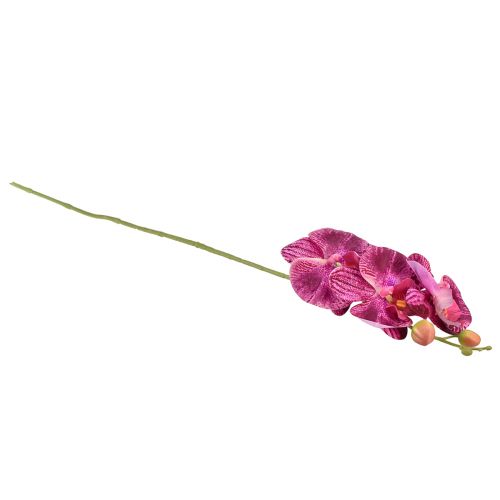 Itens Orquídea em chamas artificial Phalaenopsis roxa 72cm