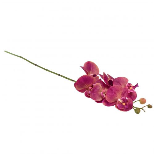 Itens Orquídea artificial Phalaenopsis Orquídea Fúcsia 78cm