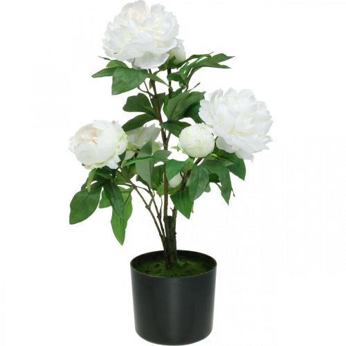  Peônia artificial, peônia em vaso, planta decorativa flores  brancas A57cm - compre barato online