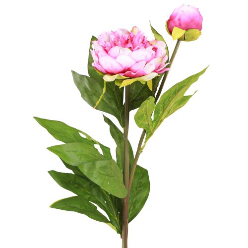 Floristik24 Peônias Flores Artificiais de Haste Longa Rosa 70cm 3 unidades