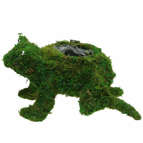 Itens Sapo plantador com verde musgo 35 × 25cm Alt.21cm