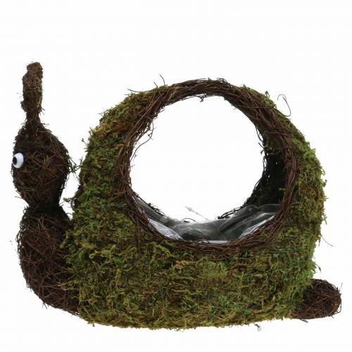 Itens Cesta de plantas musgo caracol marrom 29x13cm Alt.23cm