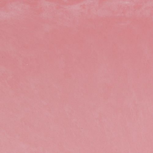 Itens Planta barco tigela oval rosa 27×11×10cm 3 un