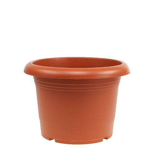 Floristik24 Vaso “Oliver” terracota Ø20cm