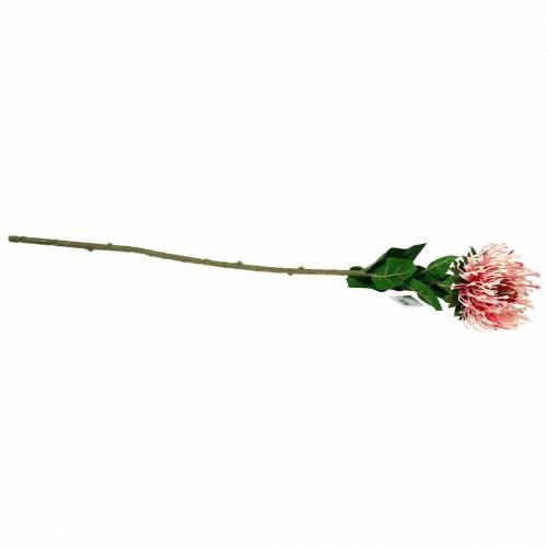 Itens Protea Artificial Rosa 73cm
