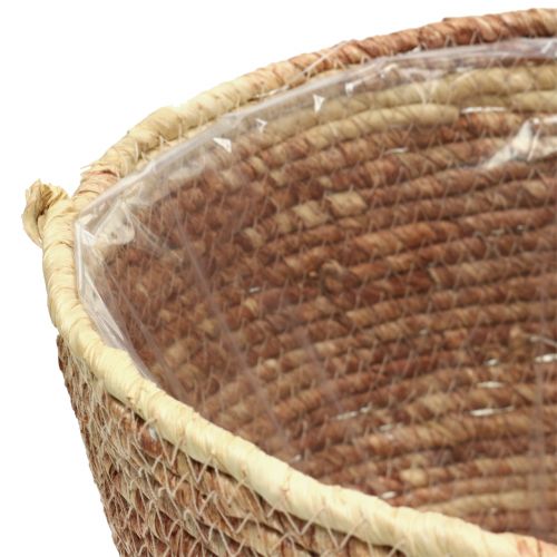 Itens Cesto para plantas rattan nature/castanho Ø26/22/16cm 3uds