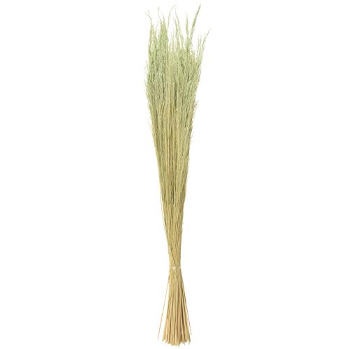 Itens Grama Torta Agrostis Capillaris Gramas Secas Verdes 65cm 80g