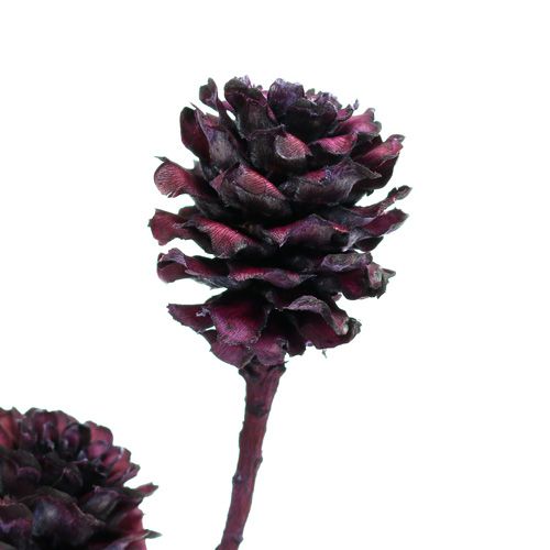 Itens Ramos Salignum com cones Berry 25 unid.