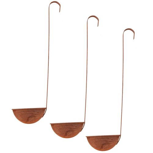 Floristik24 Tigela para plantio de concha decorativa ferrugem Ø12cm 3 unidades