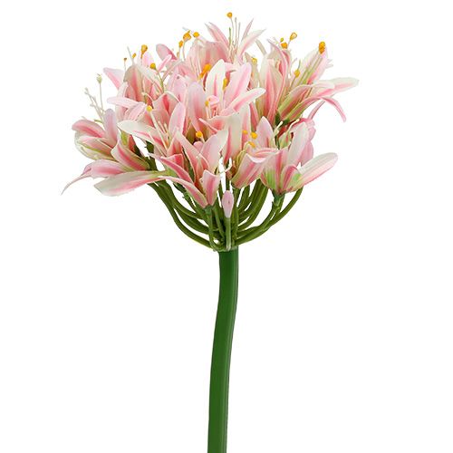  Flor de seda agapanthus rosa 80cm - compre barato online