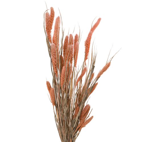 Setaria cerdas milheto decoração seca salmão 69 cm 70-75g x 2 unidades