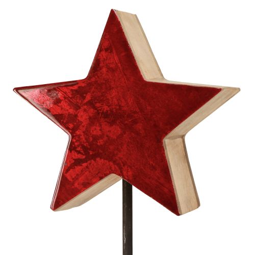 Itens Decoração estrela vermelha natural com haste na base 20x9,5x50cm