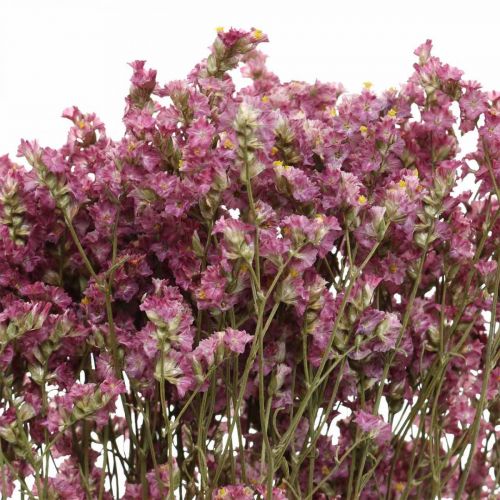 Floristik24 Statice, Lavanda do Mar, Flor Seca, Cacho de Flores Silvestres Rosa L52cm 23g