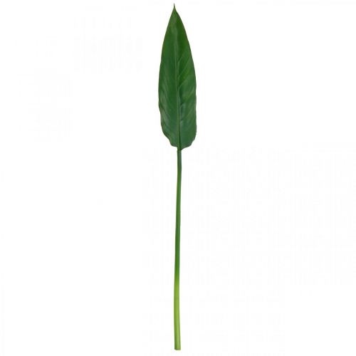 Floristik24 Folha decorativa de flor de papagaio Strelitzia Folha de Strelitzia Verde L81cm
