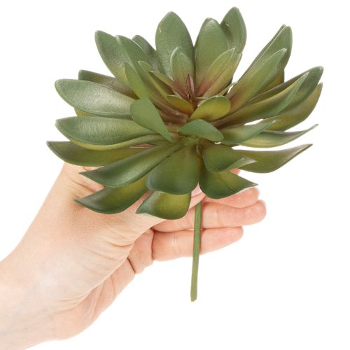Itens Suculenta artificial como planta decorativa, verde, 18 cm, 3 peças