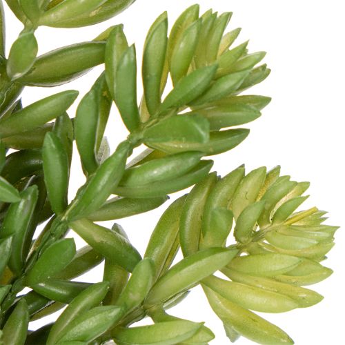 Itens Flor suculenta artificial para decoração de baixa manutenção de espaços residenciais e comerciais, 15 cm, 6 peças