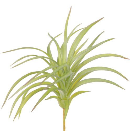 Tillandsia Plantas Artificiais Verdes com Vara Ø17cm 3pcs