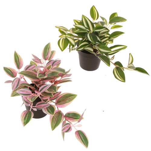 Tradescantia Planta verde artificial em vaso Alt.19,5cm 2 unidades