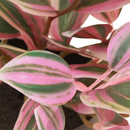 Itens Tradescantia Planta verde artificial em vaso Alt.19,5cm 2 unidades