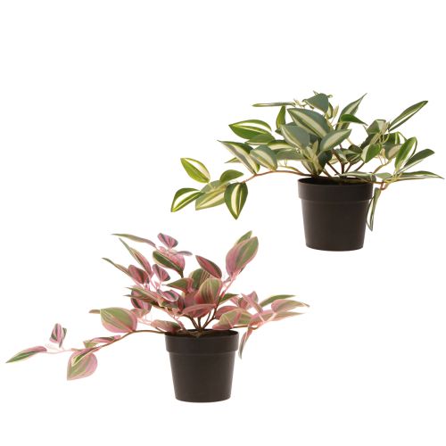 Itens Tradescantia Planta verde artificial em vaso Alt.19,5cm 2 unidades