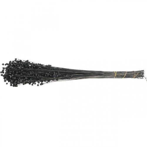 Itens Grama Seca Linho Seco Preto Alt.50–55cm 80g