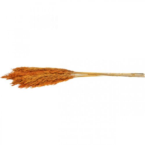 Itens Grama seca junça grama decorativa seca laranja 70cm 10 un