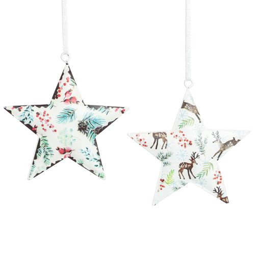 Itens Decorações de Natal agulhas de veado estrela bagas Ø8cm 6 unidades