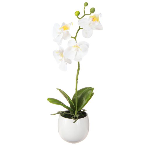 Itens Flores artificiais de orquídea branca em vaso Phalaenopsis H33cm