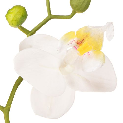 Itens Flores artificiais de orquídea branca em vaso Phalaenopsis H33cm
