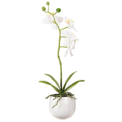 Itens Flores artificiais de orquídea branca em vaso Phalaenopsis H33cm