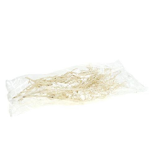 Itens Arbusto Branco branqueado 5 unid.