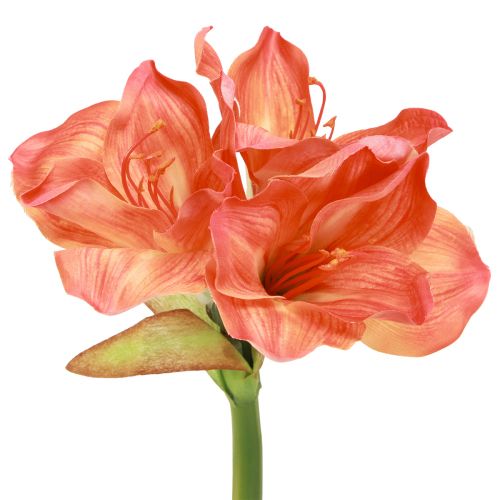 Flores decorativas de amarílis em laranja artificial C55cm 2 unidades