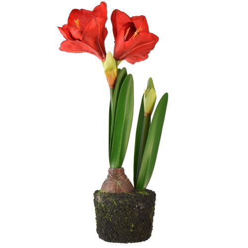 Itens Amarílis em bolas de musgo artificiais - flores vermelhas brilhantes, 49 cm - decoração de ambiente elegante e natural