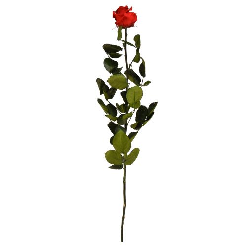 Amorosa Rosa Infinita Vermelha com Folhas Preservadas L54cm