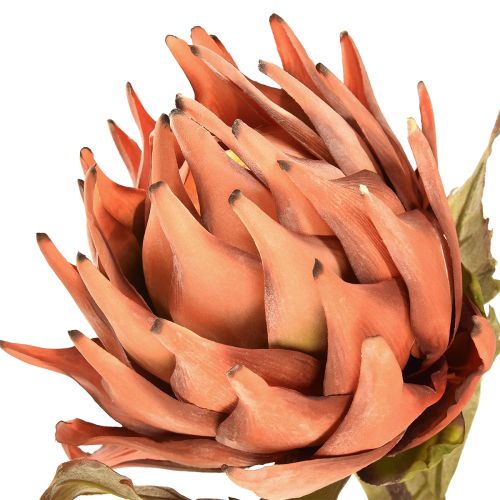 Itens Flor artificial de alcachofra outono laranja aspecto seco Ø15cm 73cm