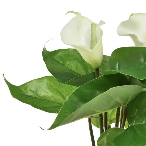 Itens Calla Lily Kalla Flores Artificiais Brancas Flores Exóticas 34cm