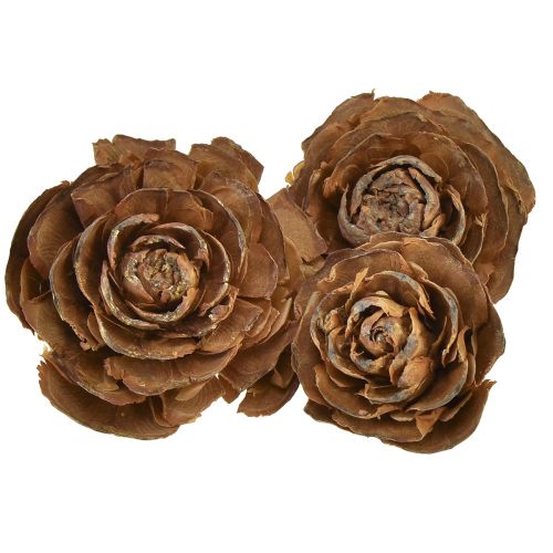 Cones de cedro cortados em forma de rosa cedro rosa 4-6cm natural 50 peças.