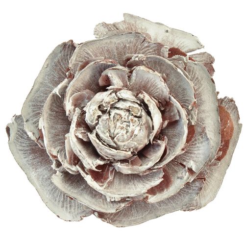Itens Cones de cedro cortados como rosa cedro rosa 4-6cm branco/natural 50 peças