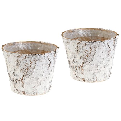 Floristik24 Vaso decorativo vaso de bétula branqueada Ø18cm Alt.15cm 2 unidades