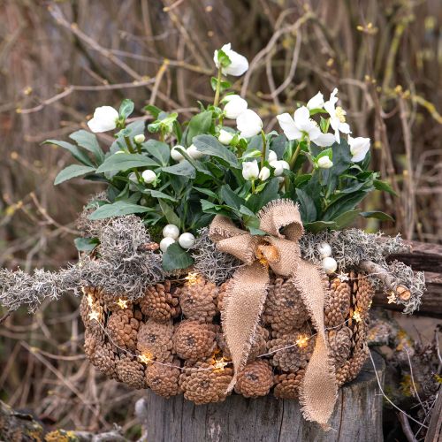 Itens Tigela decorativa de pinhas em marrom natural Ø35cm Alt.15cm