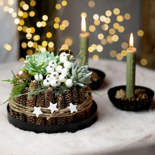 Caixa DIY decoração de Natal com arranjo suculento Ø20cm