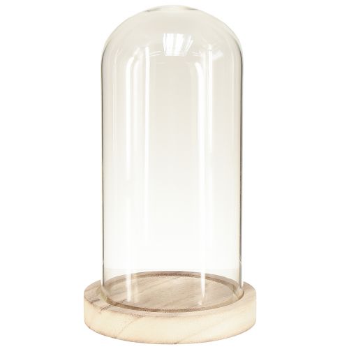 Sino de vidro com base em madeira natural transparente Ø12cm Alt.21cm
