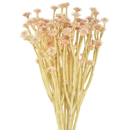 Flores Artificiais de Morango Italiano Rosa L28cm