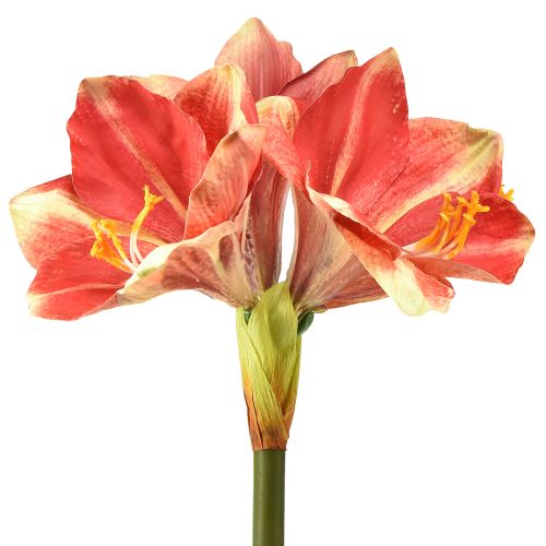 Amarílis Artificial Rosa e Creme – Flor Caule Grande 76cm
