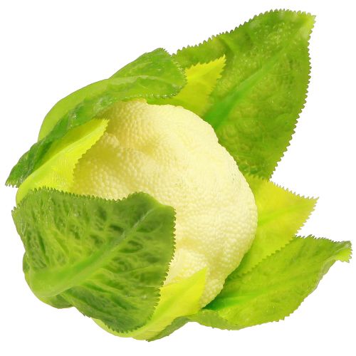 Itens Decoração vegetal de couve-flor artificial branco verde Ø9cm Alt.15cm