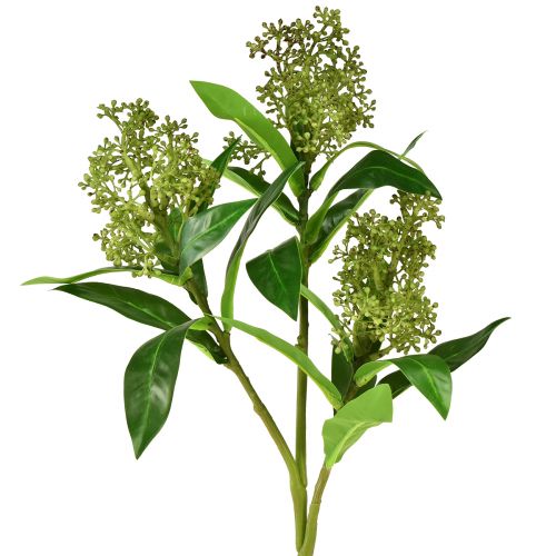 Flores artificiais verdes Skimmia japonica Skimmie 45cm 2 unidades