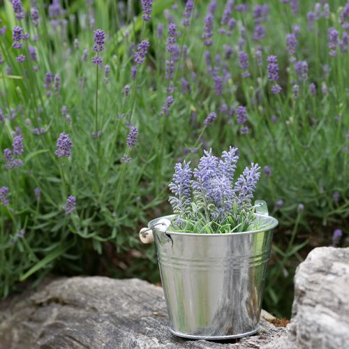 Itens Mini lavanda em vaso planta artificial decoração de lavanda Alt.16cm